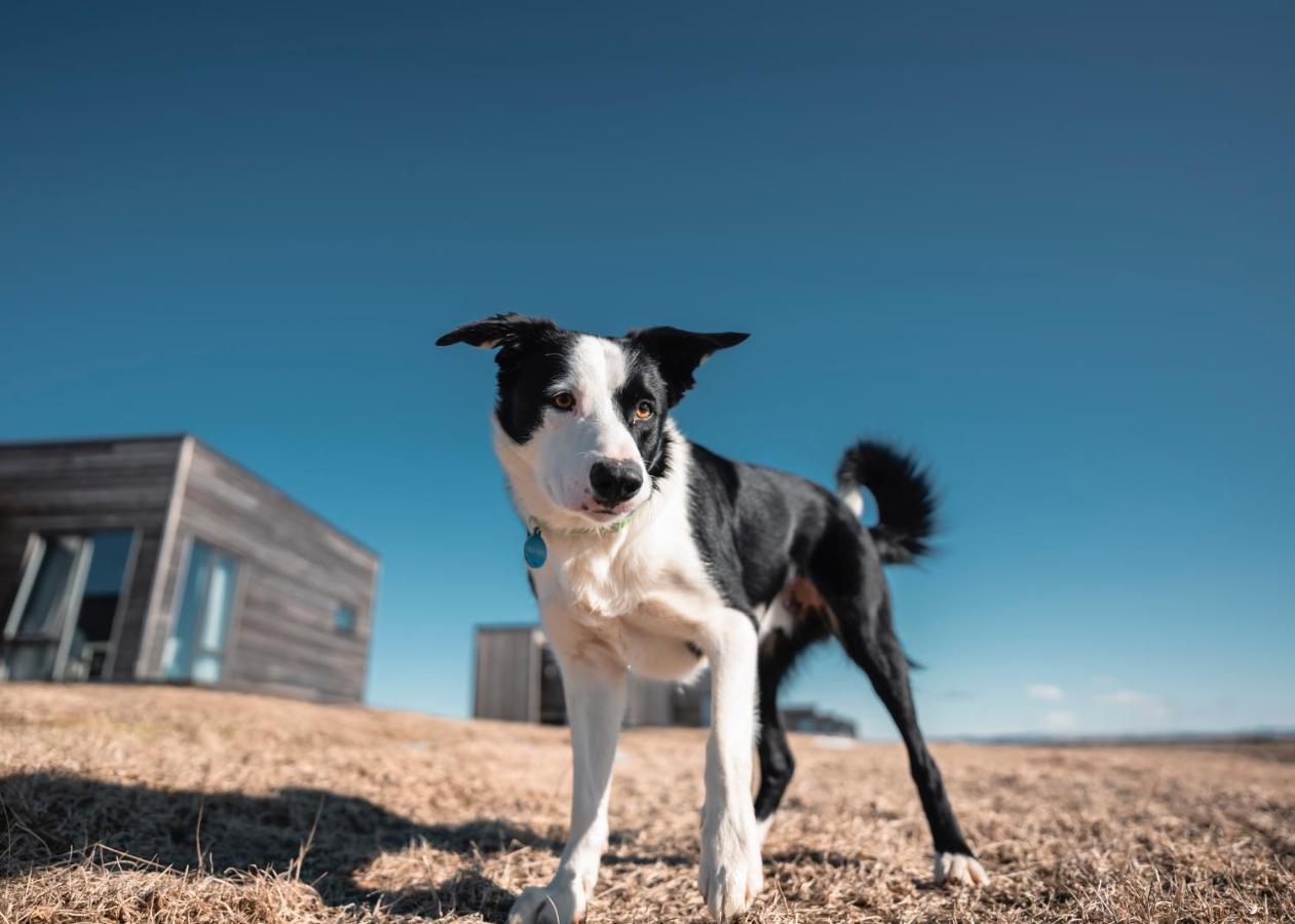 Heima Holiday Homes セルフォス エクステリア 写真